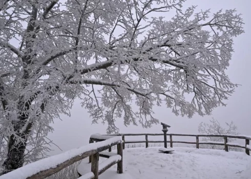 В воскресенье в Латвии ожидаются заморозки.
