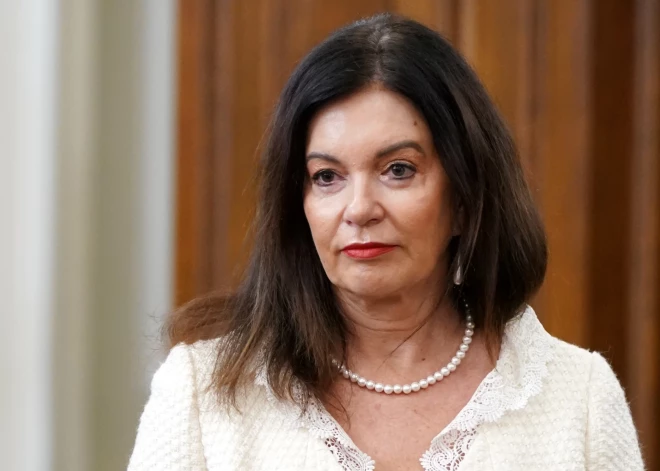 "Все, что там строится, уже заплесневело": Петравича озвучила идею сделать на сваях Rail Baltica "кондитерскую Силини"