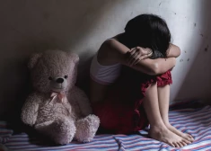 "Эпштейны рядом с нами": случай 12-летней беременной всколыхнул латвийское общество