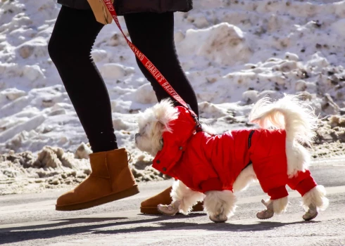 Dažviet gaiss atdzisīs līdz -27 grādiem.