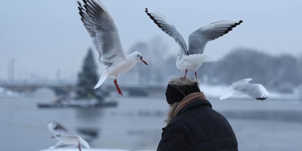 Arī nākamnedēļ Latvijā valdīs sals.