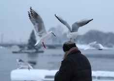 Arī nākamnedēļ Latvijā turpināsies stiprs sals. Zināms, kad kļūs nedaudz siltāks
