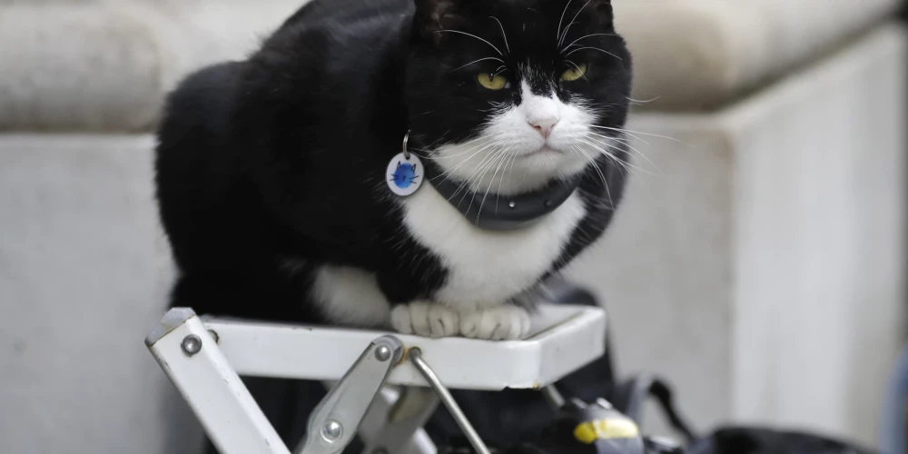 Miris Lielbritānijas Ārlietu ministrijas bijušais “galvenais peļu ķērājs” Palmerstons. 