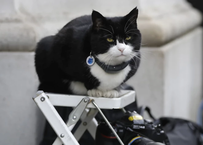 Miris Lielbritānijas Ārlietu ministrijas bijušais “galvenais peļu ķērājs” Palmerstons