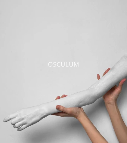 Kristaps Vindbergas Auznieces darbs.