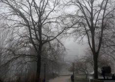 В Риге сегодня возможен высокий уровень загрязнения воздуха