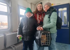 В Латвию и через нее до сих пор едут украинские беженцы. Кто они? Как им здесь живется?