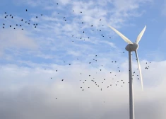 2025. gada rezultāti enerģētikā: izpildot vien 9% no 2030. gada mērķa, Latvija atkal nopietni atpaliek no kaimiņiem