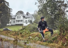 Ko spēj krūmgriezis? 4 darbi, par kuriem tu nezināji