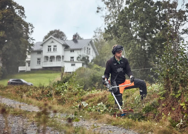 Ko spēj krūmgriezis? 4 darbi, par kuriem tu nezināji