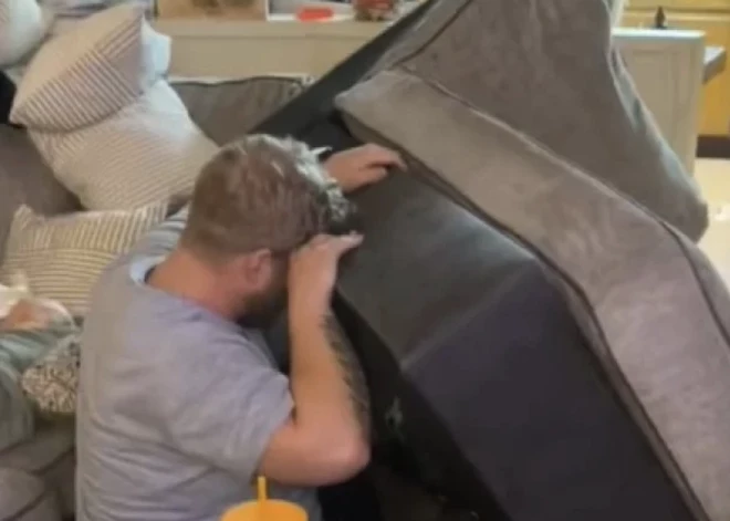 VIDEO: pēkšņi no dīvāna parādījās dīvaina skaņa; tas, ko pārdevējs bija atstājis iekšpusē, ļoti pārsteidza jaunos īpašniekus