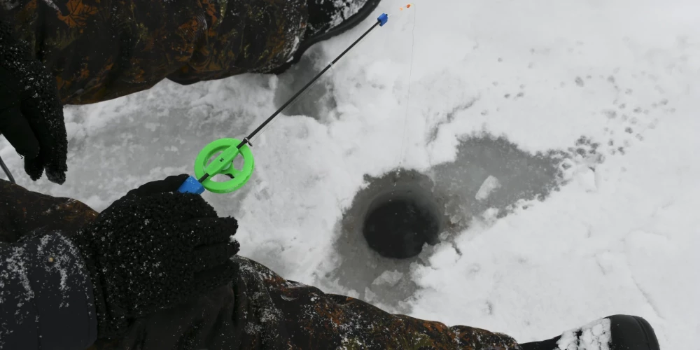 Ловись, рыбка!