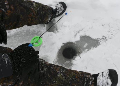 Ловись, рыбка!