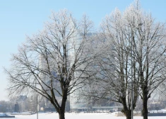 Otrdien gaidāms sauss un pārsvarā saulains laiks