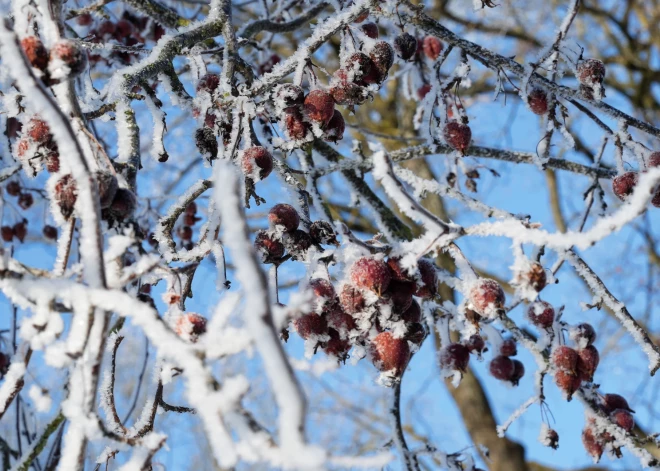 Latvijā šorīt pārspēts aukstuma rekords: gaisa temperatūra pazeminājusies līdz -32 grādiem