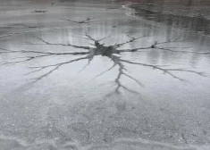 Vai esi redzējis ko šādu? Dabas aizsardzības pārvalde skaidro, kā uz ezeriem radušies šie neparastie veidojumi