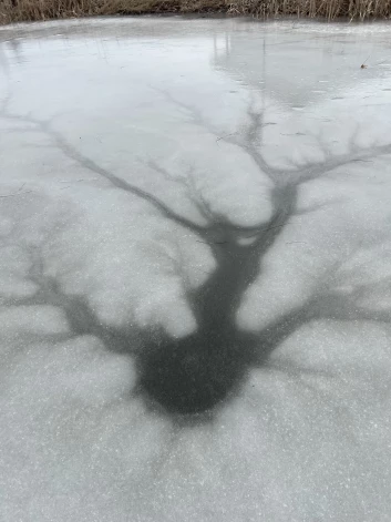 Iedzīvotāji uz aizsalušiem ezeriem pamanījuši neparastus skatus.