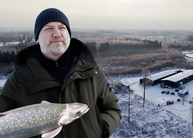 Lai naktī var mierīgi gulēt: kāpēc atbildīgs uzņēmējs apdrošina savu biznesu