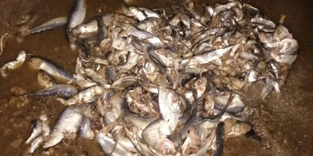 Uzņēmums kanalizācijas tīrīšanas laikā saskāries ar nepatīkamu pārsteigumu.