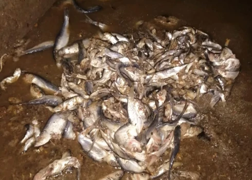 Uzņēmums kanalizācijas tīrīšanas laikā saskāries ar nepatīkamu pārsteigumu.