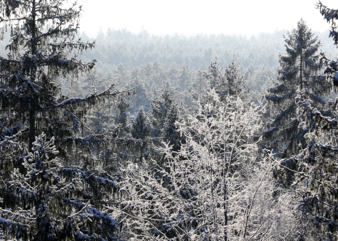 В среду местами ожидается небольшой снег