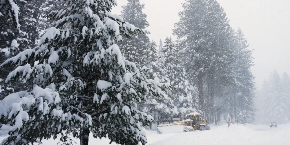 Иллюстративное фото.