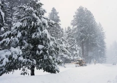 В среду во многих местах ожидается снег