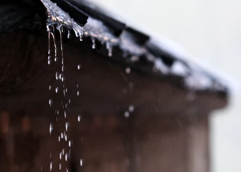 Иллюстративное фото.