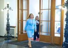 "Премьер не сможет спроектировать рельсы!" Силиня резко ответила на претензии к проблемам строительства Rail Baltica