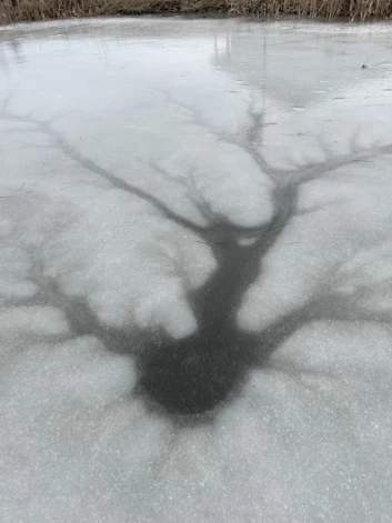 Выглядит даже немного утсрашающе.