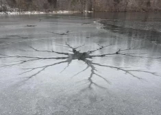 Что за таинственные "порталы" появились на озерах Латвии? Объясняет Управление охраны природы