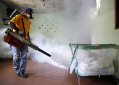 Eksperti ceļ trauksmi: mokoša tropu slimība var pārņemt visu Eiropu