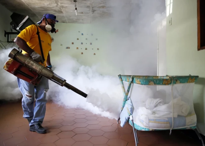 Эксперты бьют тревогу: опасная тропическая болезнь может охватить всю Европу