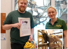 Kulinārijas blogeris Pipars kļūst par krusttēvu pērtiķēnam un vardēm