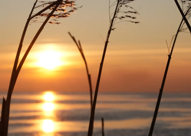 В пятницу температура в Курземе будет на градус выше нуля