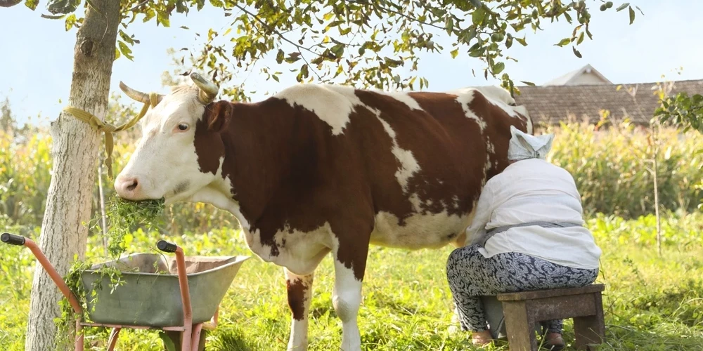 Иллюстративное фото.