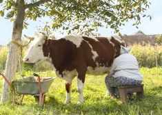 Иллюстративное фото.