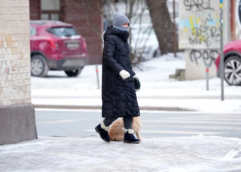 Мороз этой зимой в Латвии - это награда?