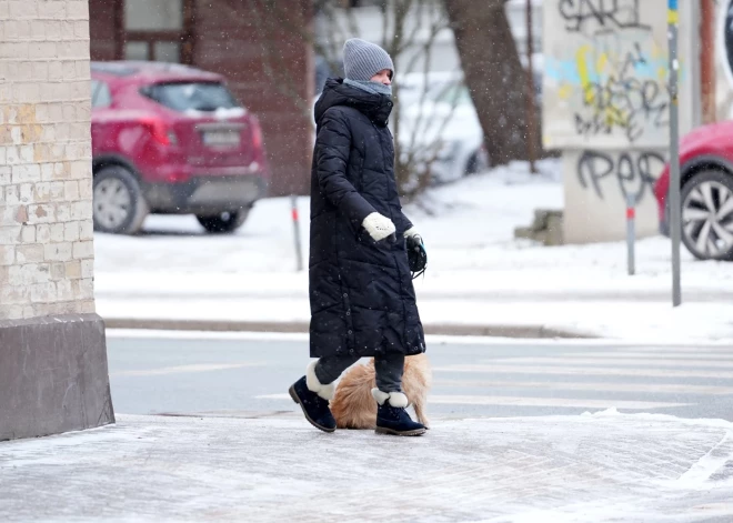 Жители Латвии отличились на фоне всей Европы примерным климатическим поведением