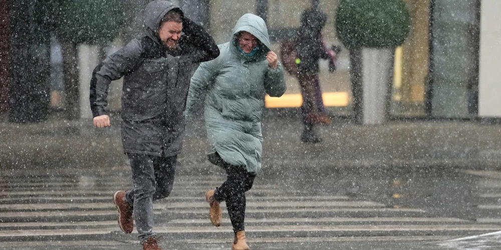 Пешеходные переходы у автовокзала и у правительства назвали показательной победой.