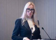 Государственный язык, ценности Сатверсме и контроль: в Латвии озвучили главные принципы миграционной политики