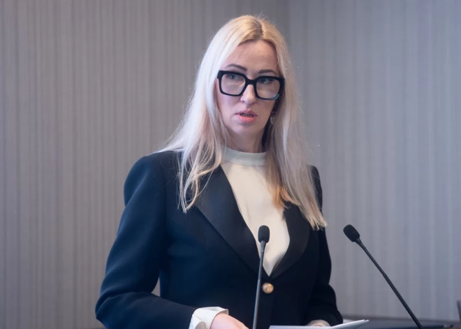 Государственный язык, ценности Сатверсме и контроль: в Латвии озвучили главные принципы миграционной политики