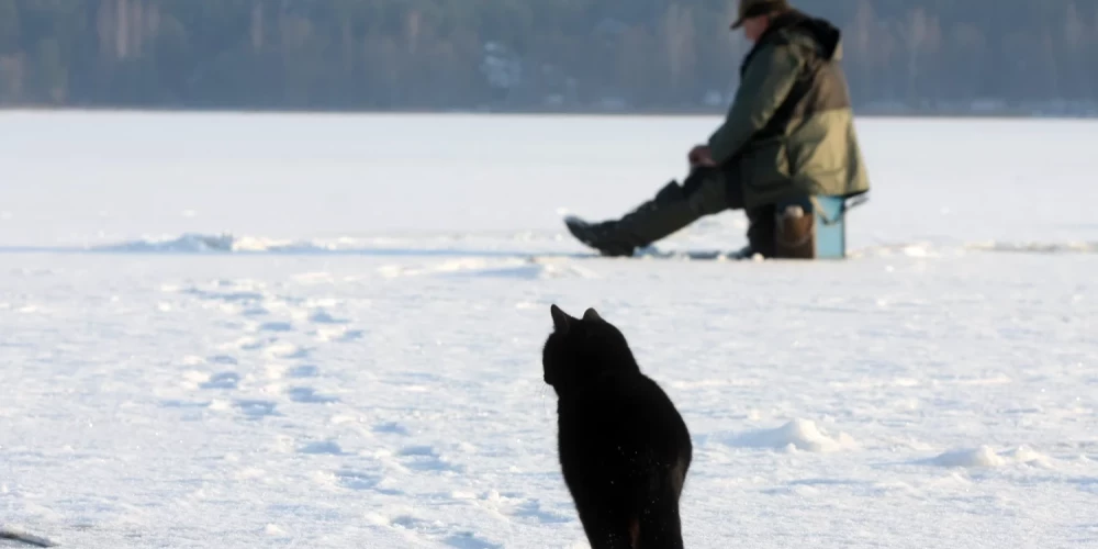 Иллюстративное фото.