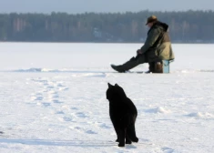 В субботу в Латвии еще немного потеплеет
