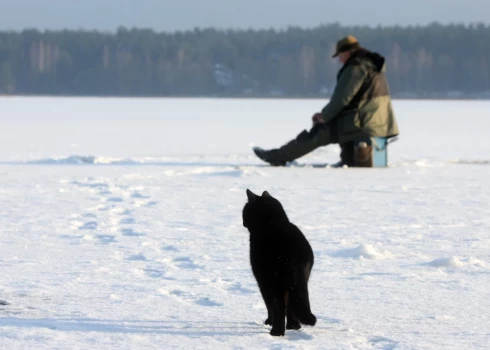 Иллюстративное фото.