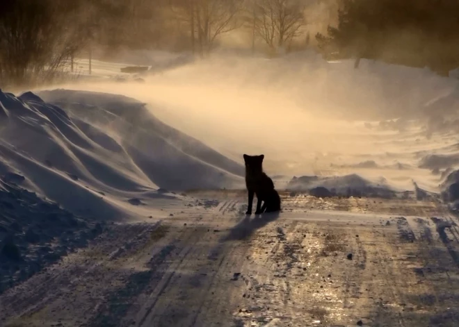 Naktī lielākajā daļā Latvijas teritorijas gaidāms sniegs