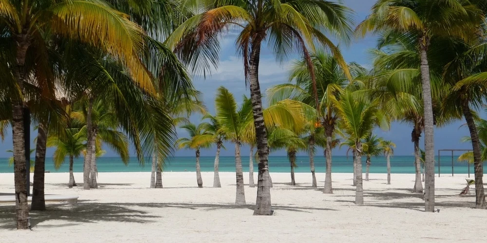 Исла Пасьон - тропический рай.