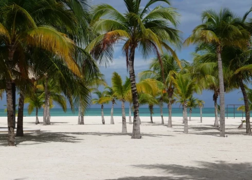 Исла Пасьон - тропический рай.