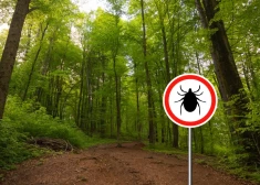 Всем детям из Кулдигского края сделают неплохой подарок к лету