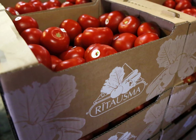 Закрыта известная овощная компания с 30-летней историей - 65 человек потеряли работу